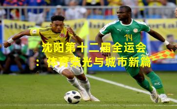 沈阳第十二届全运会：体育荣光与城市新篇