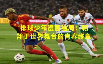 排球少年漫画结局：翱翔于世界舞台的青春终章